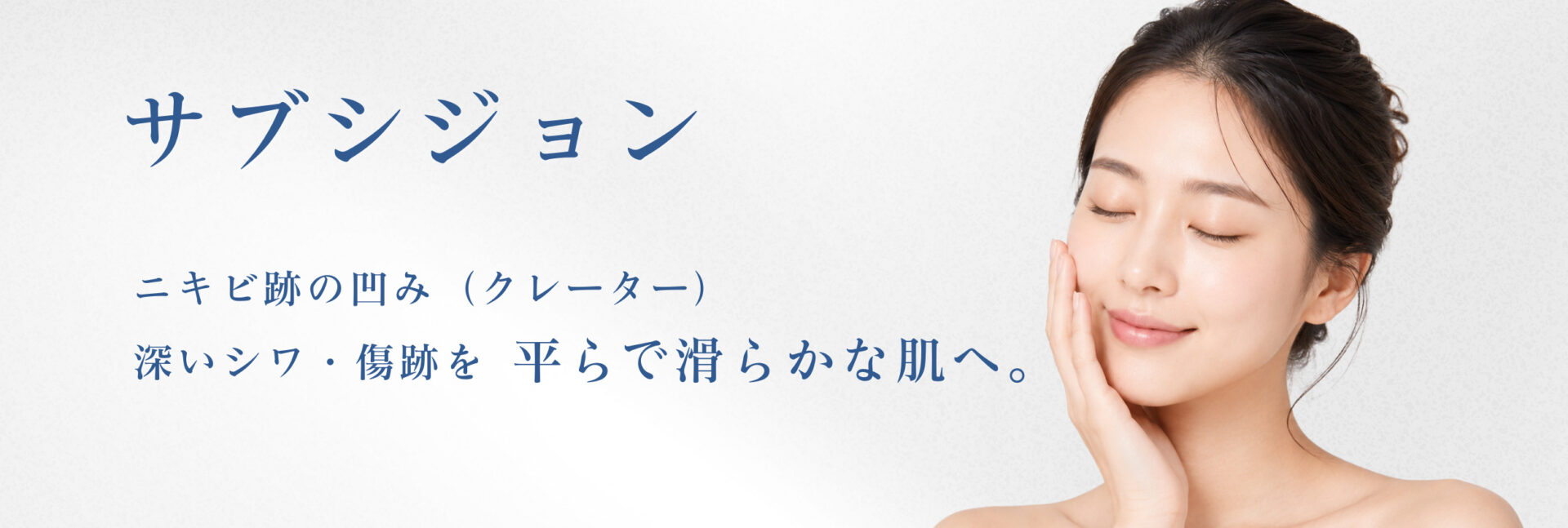 サブシジョン導入