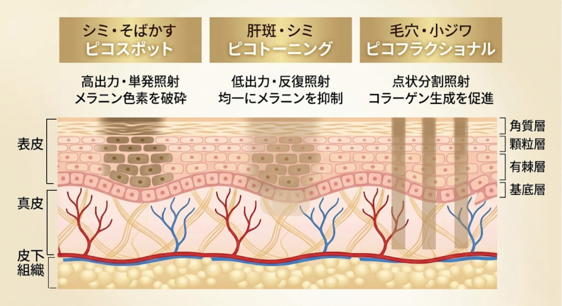 治療の効果 イメージ